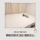 별별가구이야기 | 아기 패밀리침대 단점 매트리스 바닥 사용후기