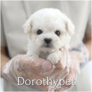 몽글몽글 이미지