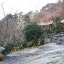 축령산휴림 이미지