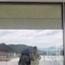 아셉오어 이미지