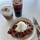 [속초] 청초호 대형카페 호수뷰 감성카페 마리스텔라_내돈내산 후기