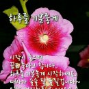 즐거운 이미지