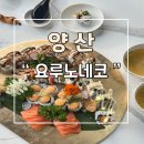 요루노네코 | 양산 스시 초밥 맛집 일본감성 요루노네코