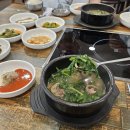 세종점심맛집 보람동 스텔라온 옆 세종시 염소탕 | 세종청사 용포맛집