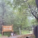 산성로L | Camping l 경기도 양주 캠핑장 봄이오는캠프 2번째 방문 우중캠