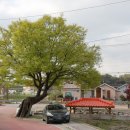 참존농장 이미지