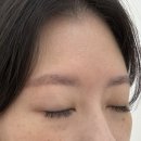테일디뷰티