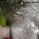 낙동제방 이미지