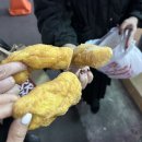 울산 남구 신정동 백주막 / 굴보쌈🦪❄️ 맛집