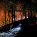 상대동1 이미지