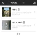 비바비디오 이미지