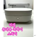 픽셀 휴대용 쪽쪽이 소독기 육아용품 외출 준비물 꼭 필요할까? 사용 후기