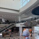 문대보건진료소 | 국립과천과학관 자연사관 아이랑, 5분마다 움직이는 공룡의 정체와 관람 팁