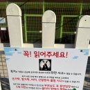 지수농장 | 이색 체험 가득! 우농타조농장 솔직후기