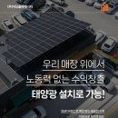 마리태양광발전소 이미지