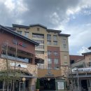 여주-0329 | 아이랑 여주아울렛 다녀온 후기(+주차 꿀팁,유모차대여,수유실,놀거리,구찌,프라다)