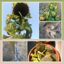 김종군농장 이미지