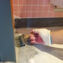 악쓰는 하마 이미지