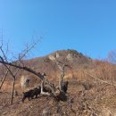 염소야놀자 이미지