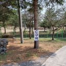 가래골농원 캠핑장 | 포천 가래골농원 캠핑장 A구역 후기(동물먹이주기, 승마체험도 가능)