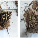 옥천농협북일지점 이미지