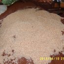 흙내음황토 이미지