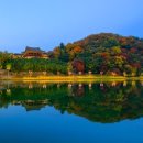 삼랑진권 투어 이미지