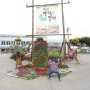 화개리 군민운동장 이미지