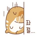 다날비