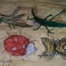 수채화반 이미지