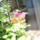 플로라산후조리원 이미지