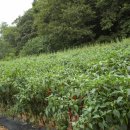 송죽농장 이미지