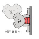 댄스스포츠(초.중) 이미지