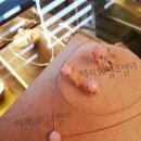 부산 남포동 작은동물원 &#39;위드쥬&#39; with-zoo 이미지