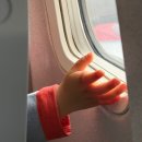 꼬마숲어린이집 | 260420-0423 비, 바다, 숲, 그리고 나, 제주여행의 기록