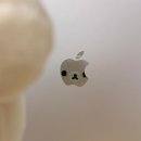 세움종합건설(주) | [마케팅 부트캠프/디지털 마케터 취업 준비] 도와세움 디마에 86기 7주차 (21)