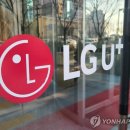 LGU+ 유선 인터넷망, 엿새만에 또 접속장애…"디도스 공격 추정" 이미지