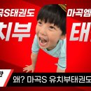 마곡S태권도장 이미지