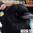 김미순농장 네이버블로그