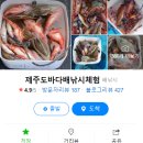 제주도이호바다배낚시체험 이미지