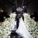 파워블로그&동영상제작 | [W07] 어두운 홀 본식스냅 업체 고르기 | 최종 메리지스냅 데이터형 계약 완료 | 파워J의 15개 업체 비교