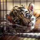 (주)바이오익스프레스 이미지