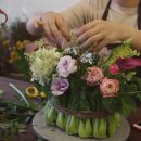 컨포지움 이미지