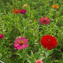 해도근린공원 화장실 이미지