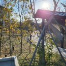 무이림3 이미지