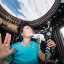 바다비행사 이미지