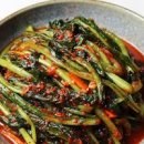 열무김치 만드는 법 봄김치 열무김치담그는법 이미지