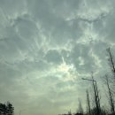 씨유 거제삼성휴게소점 | 두달치 일상