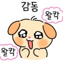 아이맥스안경원