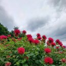 건영한의원 이미지